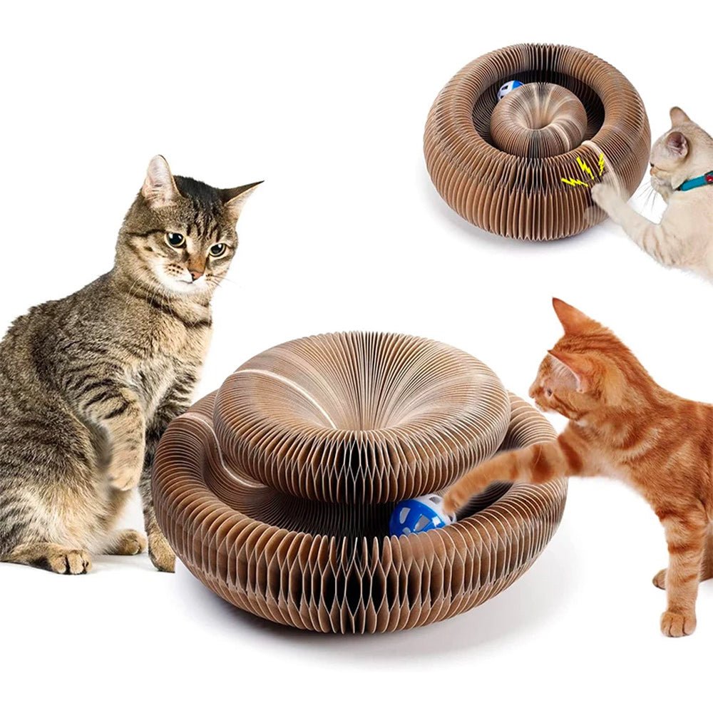 Le jouet viral pour chat - Launchify