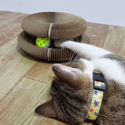 Le jouet viral pour chat - Launchify